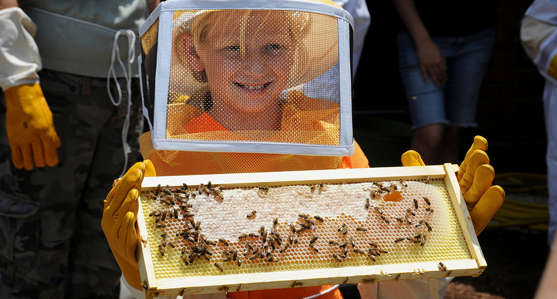 student holding a tray of bees
