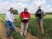 Cotton Yields Increase With New Technology
