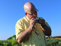 MSU Leads the Charge Against Soybean Taproot Decline